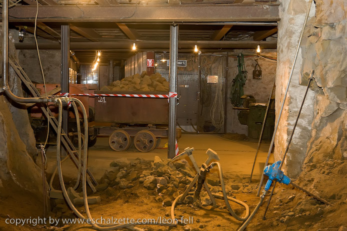 20081206stbarbedhoil062