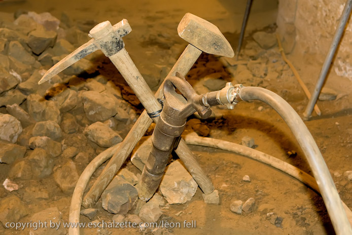 20081206stbarbedhoil063