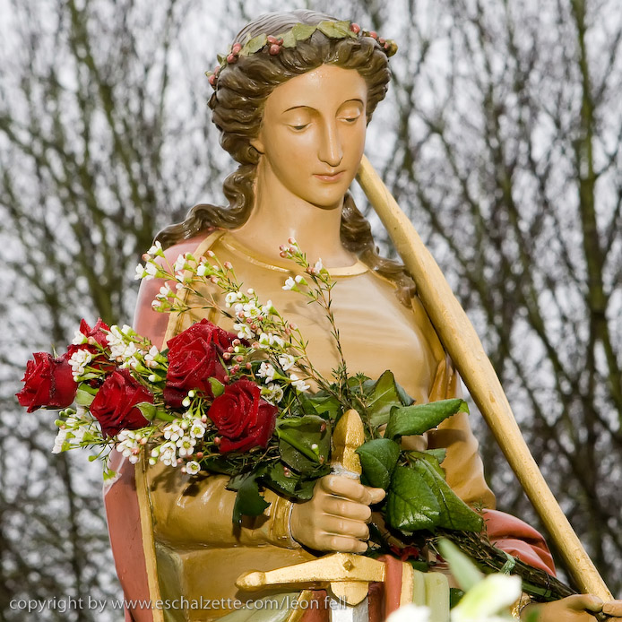 20081206stbarbetetange002