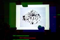 skip_sieverts200604010