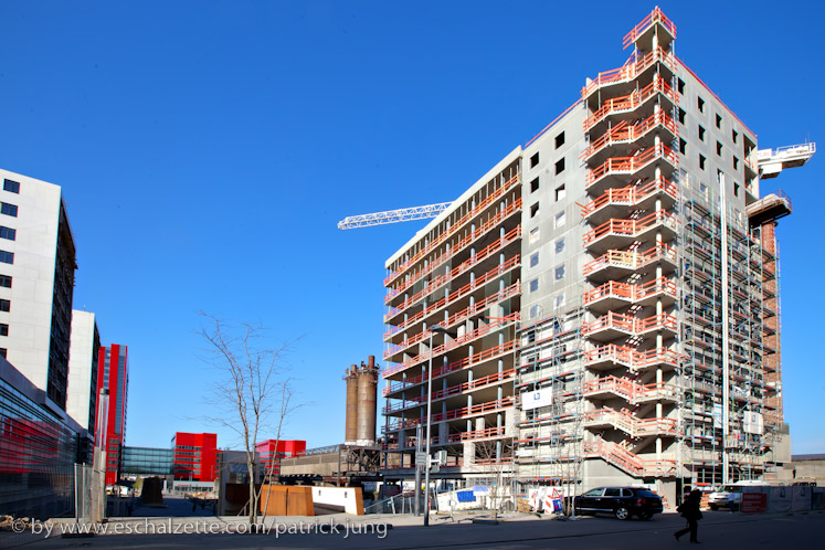 20100424_fetebouquet_feiersteppler__023