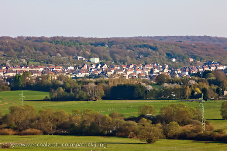 20100424_fetebouquet_feiersteppler__040
