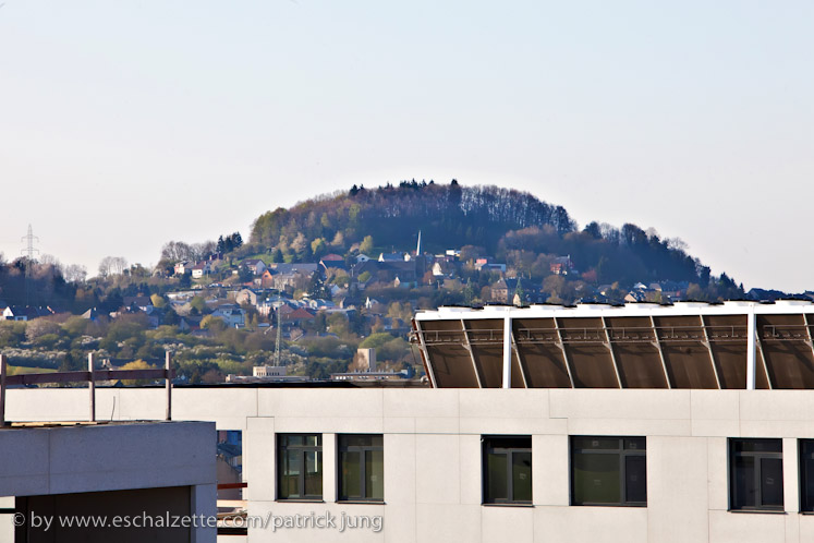 20100424_fetebouquet_feiersteppler__043