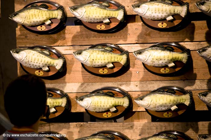 allweneed20070821011