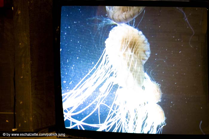 allweneed20070821012