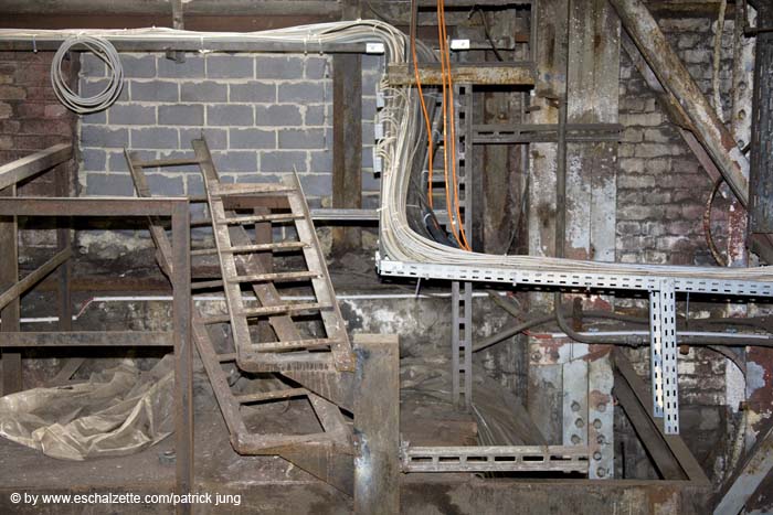 allweneed20070821026