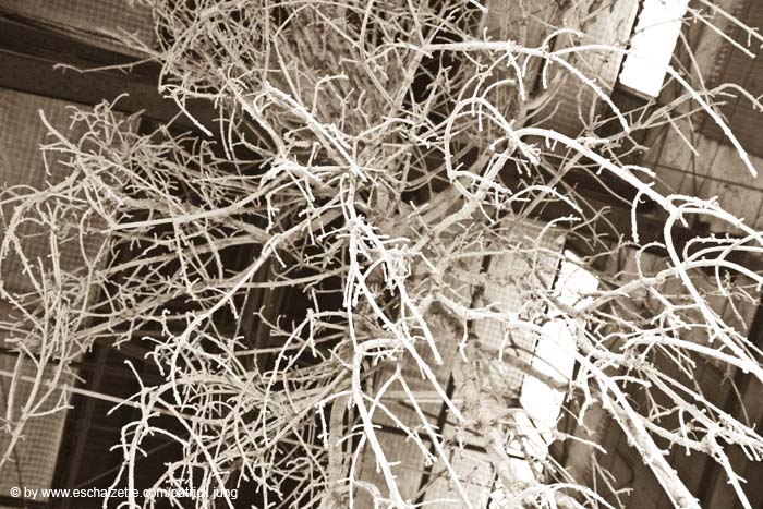 allweneed20070821070