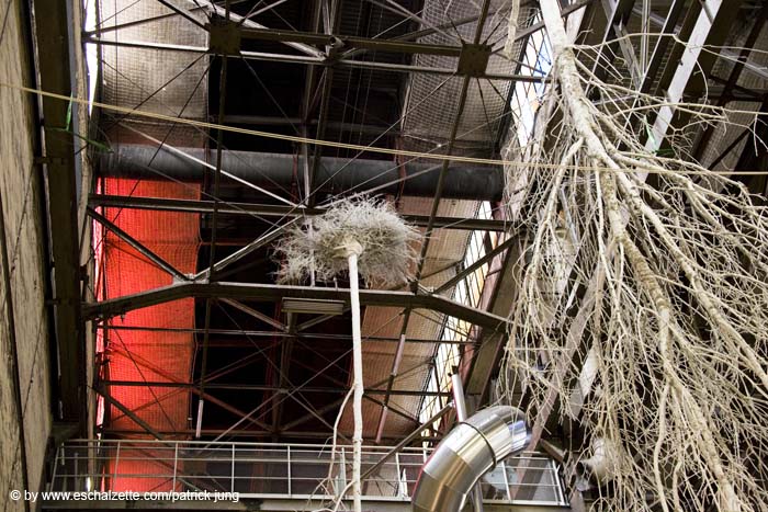 allweneed20070821072