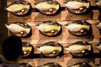 allweneed20070821011