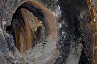 allweneed20070821022