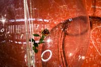 allweneed20070821044