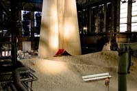 allweneed20070821051