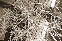 allweneed20070821070