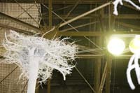 allweneed20070821071