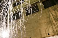 allweneed20070821079