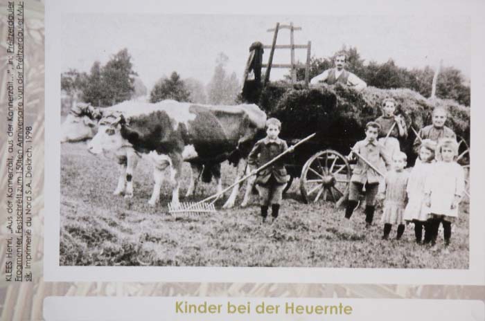 kinderarbeit20070616030