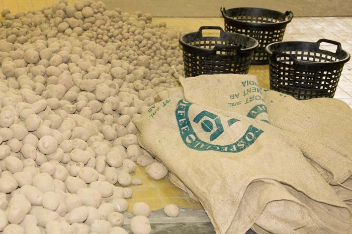 kinderarbeit20070616033