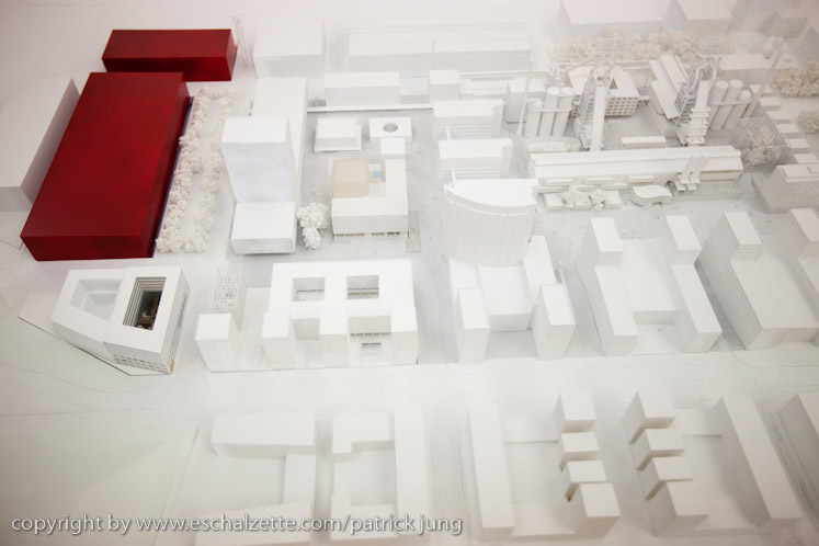 20090313_maisonsciencesdelavie_012